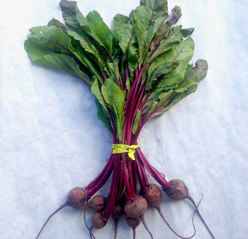 Beets - fresh bunched!