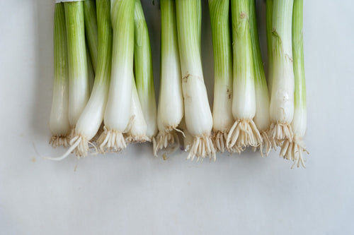 Green Onions / Scallions