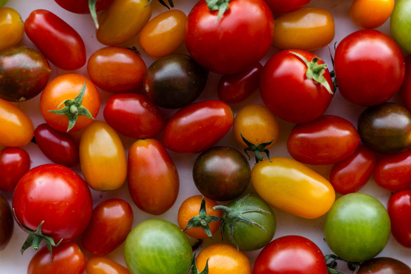 Cherry Tomatoes