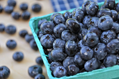 Blueberries - Fresh
