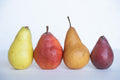 Pears - Seasonal