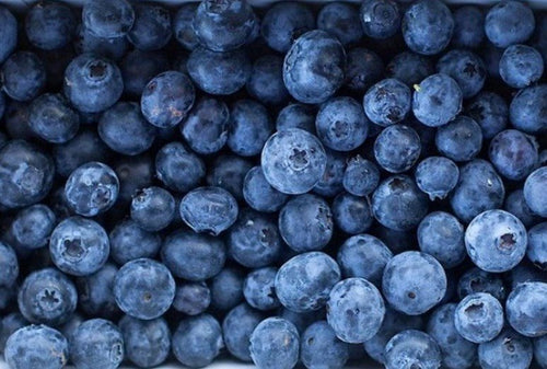 Blueberries - Frozen